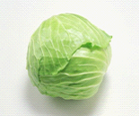 有机绿甘蓝 Green cabbage